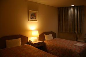 Hotel Lakeland Hikone