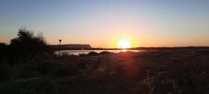 Casa Diana P3115 img33