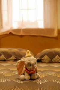 Split Centre Apartment