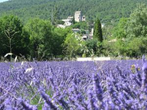 Maisons de vacances Le Mas des Restanques : photos des chambres