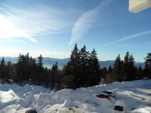 Appartements Studio Chamrousse, 1 piece, 4 personnes - FR-1-340-253 : photos des chambres