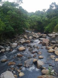 Finca Hotel - Piscina La Johanna