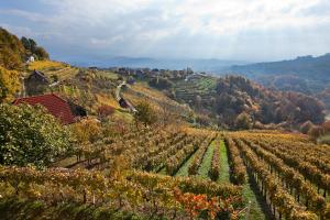 Vineyard Cottage Ucman 