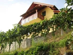 Vineyard Cottage Ucman - Šmarjeta