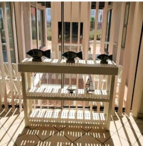 Dream Catcher Mykonos Beach House