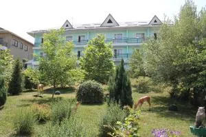 Green Hotel - Kamenka
