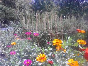 Appartamenti Angelika