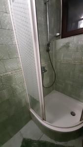 Затишок в Карпатах