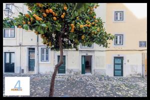 HOME4U - Mouraria Typical Neighborhood