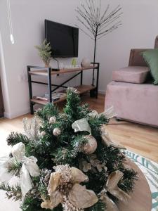 Apartman Pahuljica Tara