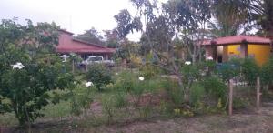 Casas lindas no paraiso!