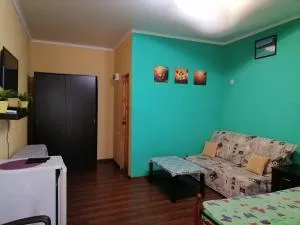 Amidea Guest House - Picunda