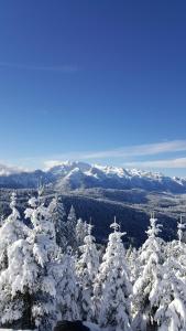 Kalvarienberg Appartement Gosau