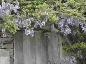 Appartements Gite La Bulle En Baie, proche Mont Saint-Michel, au calme, pour 4 pers : photos des chambres