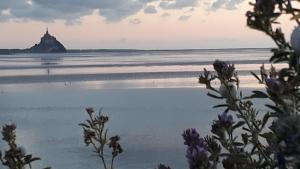 Appartements Gite La Bulle En Baie, proche Mont Saint-Michel, au calme, pour 4 pers : photos des chambres