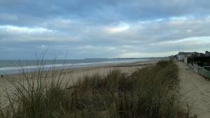 Appartements Gite La Bulle En Baie, proche Mont Saint-Michel, au calme, pour 4 pers : photos des chambres