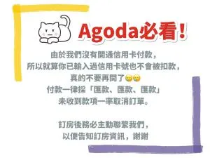 Art Turtle - Hsin-ts'un