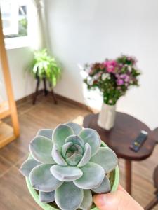 Selena Dalat Homestay