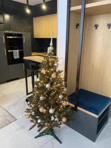 APARTMENT A&D Downtown