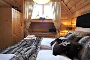 Domek Jelonek Bachledzki Wierch