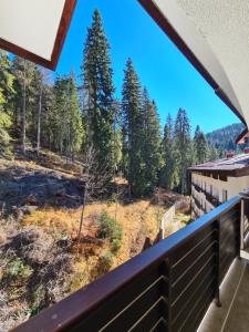 Родопски Рай