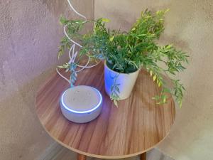 Loft gaviota vista jardín 15 mts de playa