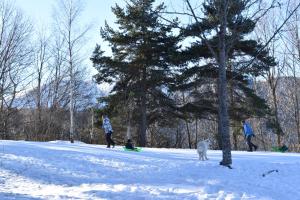 Maisons de vacances Gite Au printemps Japonais, petit train de la Mure, parc des Ecrins : photos des chambres