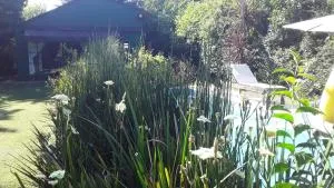 Loft Verde que te quiero Verde - 奇维尔科伊