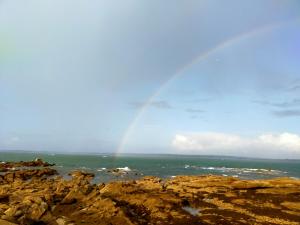 Appartements L'elephant Blanc de ConcarnOLoc : photos des chambres