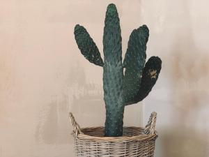 Spacious, Light & Cozy Apartments with Ocean Views