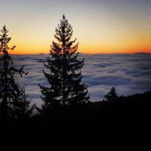 Гранд Манастира Частен Апартамент