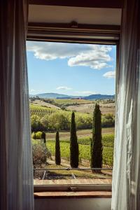 Tenuta Golo - Luxury Vineyard Suites in Montepulciano - Wine Tastings
