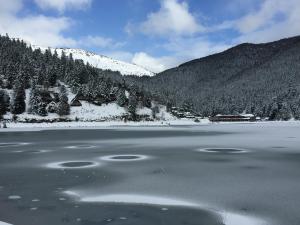 Maisons de vacances Gite chaleureux au lac de Payolle : photos des chambres