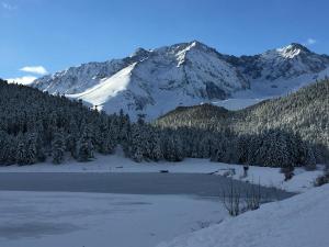 Maisons de vacances Gite chaleureux au lac de Payolle : photos des chambres