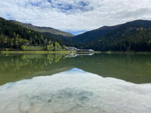 Maisons de vacances Gite chaleureux au lac de Payolle : photos des chambres