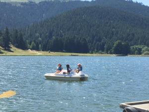 Maisons de vacances Gite chaleureux au lac de Payolle : photos des chambres