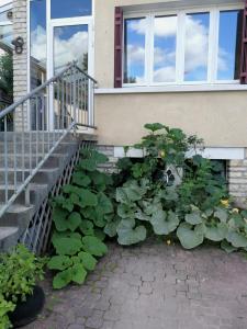 Maisons d'hotes Un Verger dans la Ville : photos des chambres