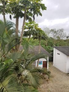 Montañita Garden Hostal