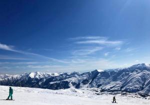 311 New Gudauri Luxury Apartment