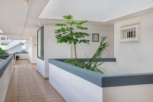 AZAHARA PLAYA -LAS VISTAS BEACH Free Wifi