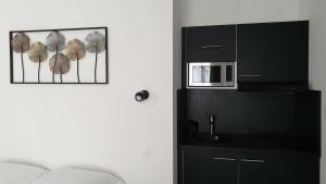 Appartements Studio cosy black : photos des chambres