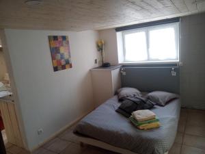 Appartements Studio Vic : photos des chambres