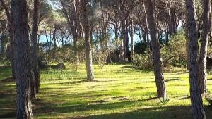 grandi famiglie o comitive 150 mt spiaggia budoni affitti