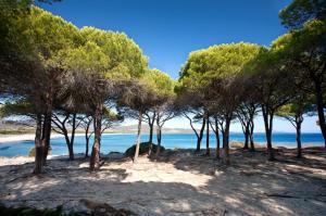 grandi famiglie o comitive 150 mt spiaggia budoni affitti