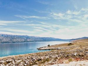 Atrium Blue Holiday House