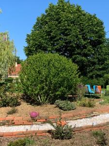 Maisons de vacances Le Bleu de B. : photos des chambres