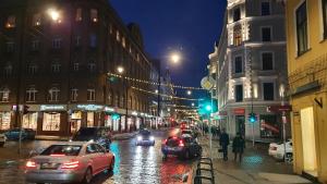 Dream Apartment Blaumana