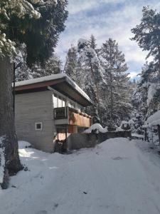 Chalet nel bosco
