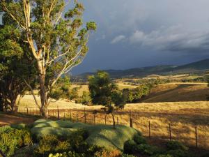 Shaws Road Winery B&B