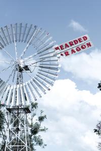 The Bearded Dragon Boutique Hotel